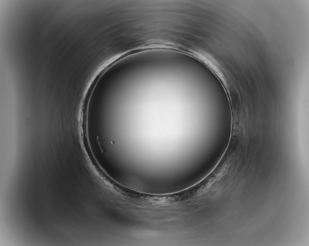 X0000096201003200801181337