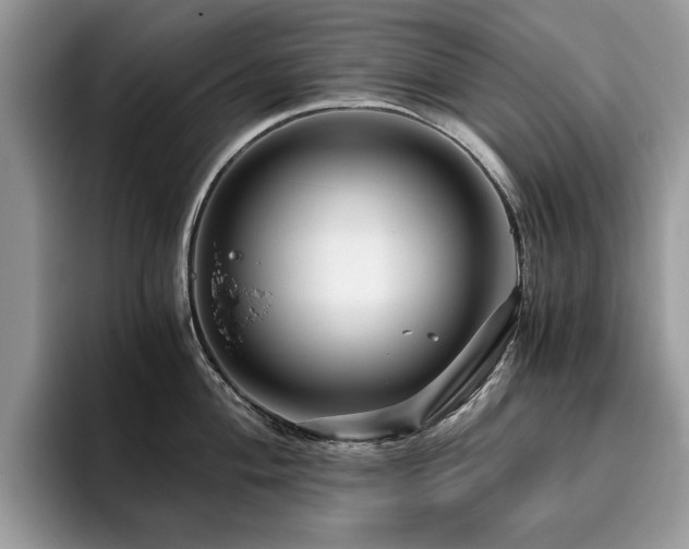 X0000096201004200801181337