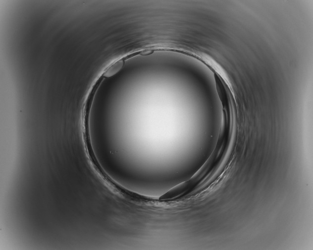 X0000096201005200801181337