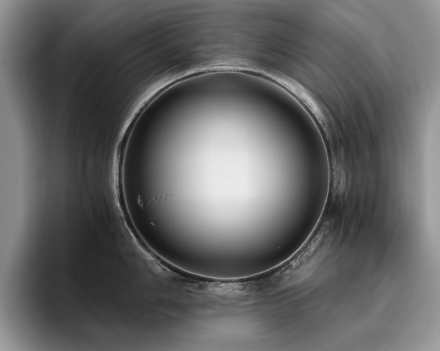 X0000096201006200801181337