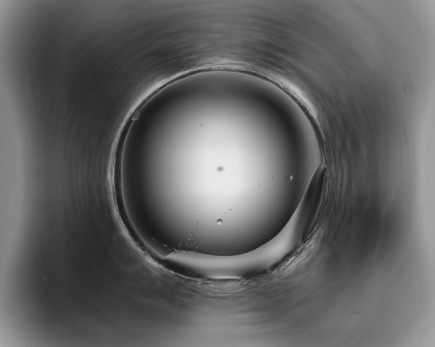 X0000096201007200801181337