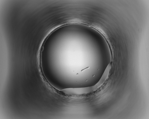 X0000096201008200801181337