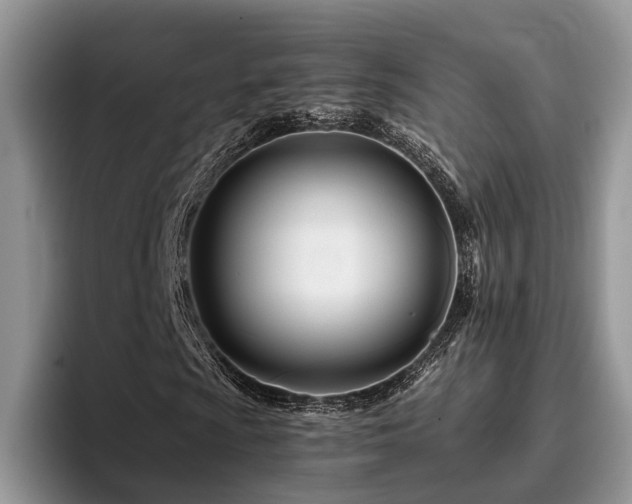 X0000096201009200801181336