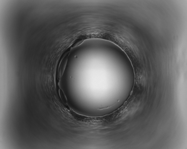 X0000096201010200801181336
