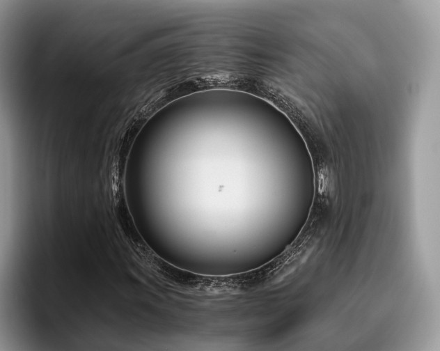 X0000096201011200801181336