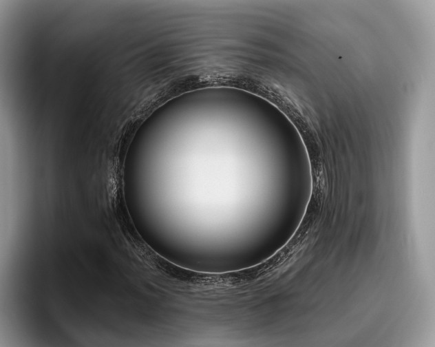 X0000096201012200801181336