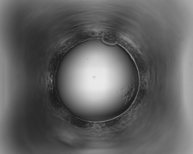 X0000096201013200801181336