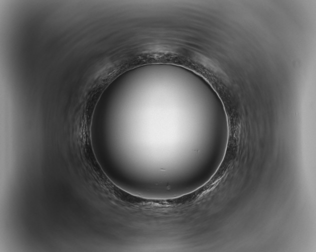 X0000096201014200801181336