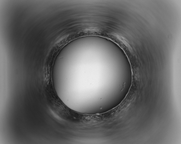 X0000096201015200801181336