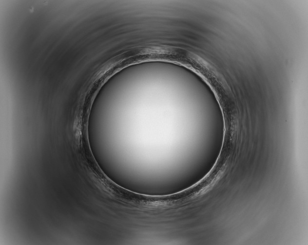 X0000096201017200801181337