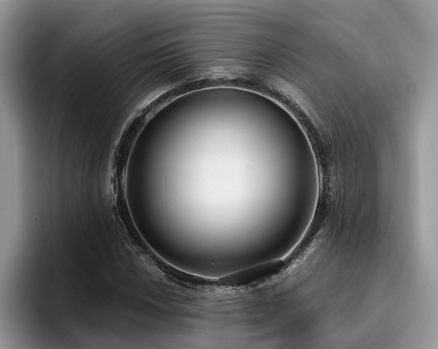 X0000096201018200801181337