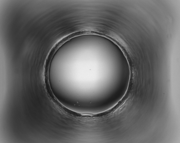 X0000096201020200801181337