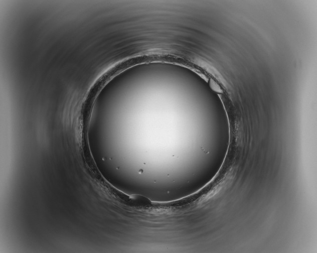 X0000096201021200801181337