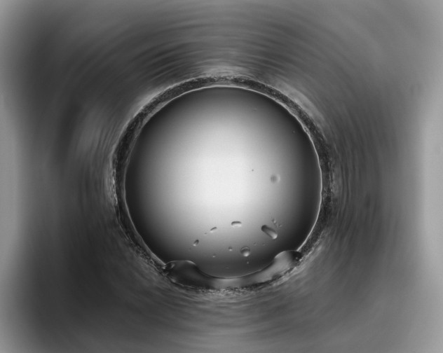 X0000096201022200801181337