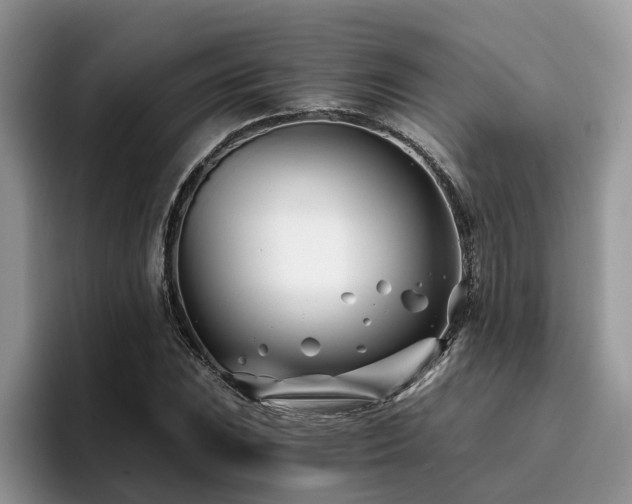 X0000096201023200801181337