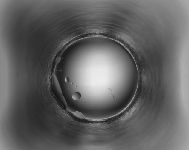 X0000096201025200801181337