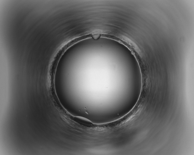 X0000096201027200801181337