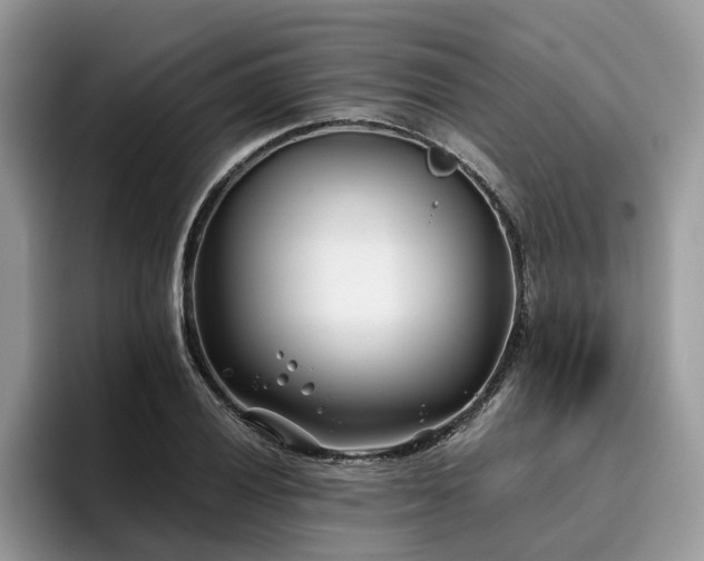 X0000096201028200801181337