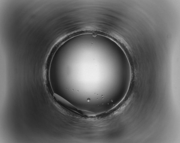 X0000096201029200801181337