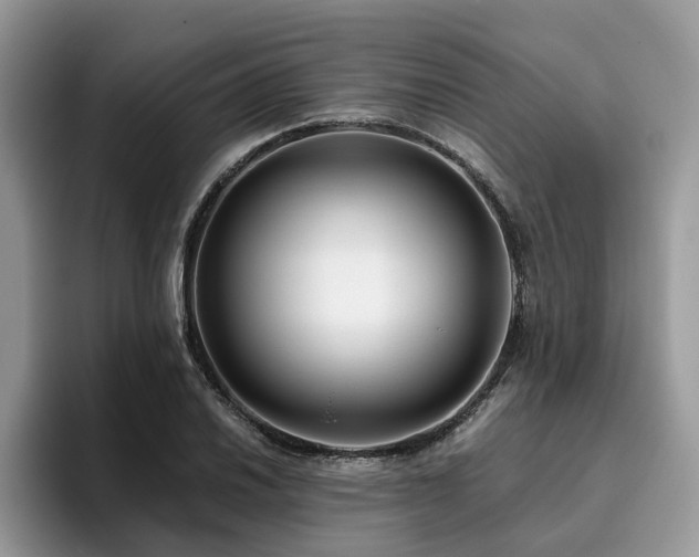 X0000096201030200801181337