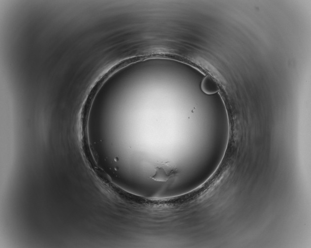X0000096201031200801181337