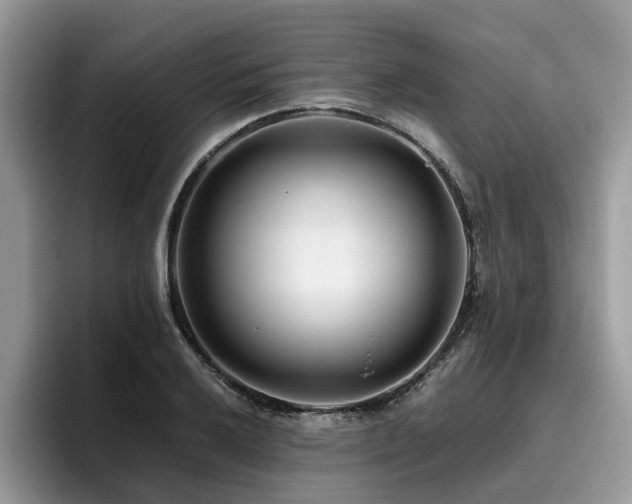X0000096201032200801181337