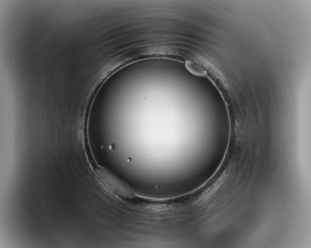 X0000096201033200801181337