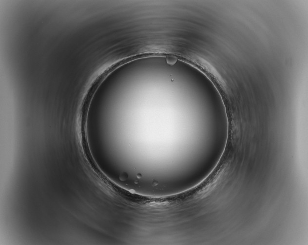 X0000096201035200801181337