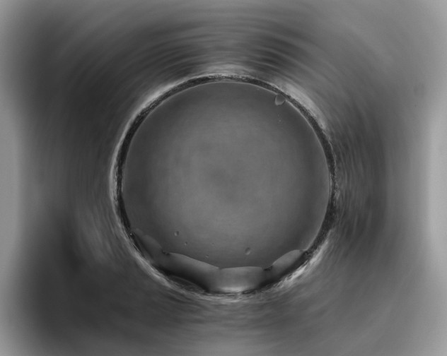 X0000096201037200801181337