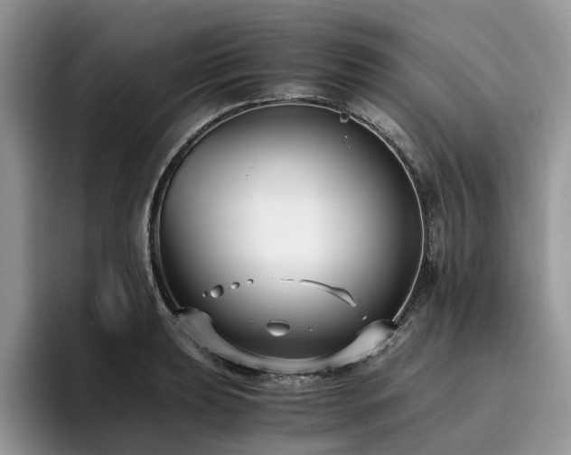 X0000096201039200801181337