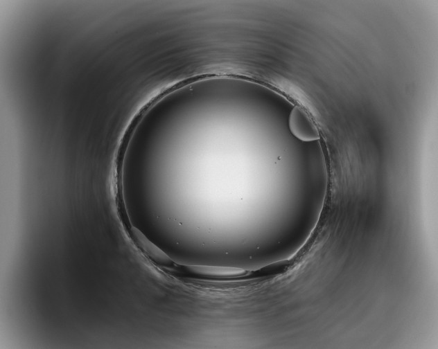 X0000096201040200801181337