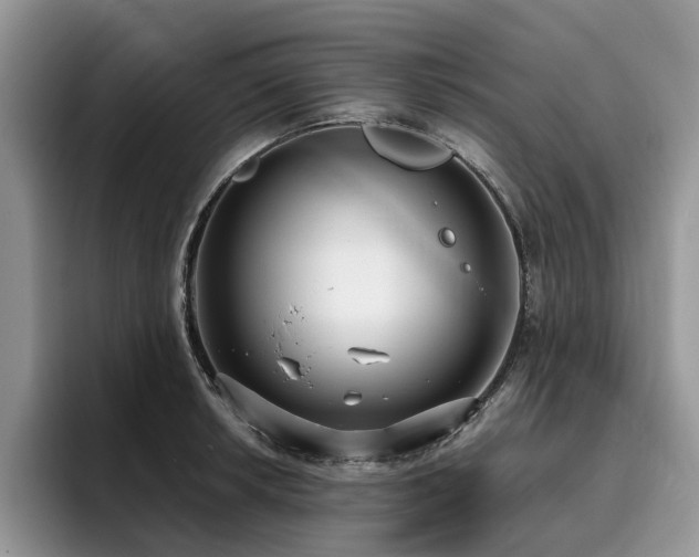 X0000096201042200801181337