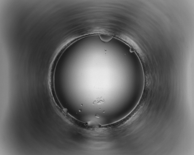 X0000096201043200801181337