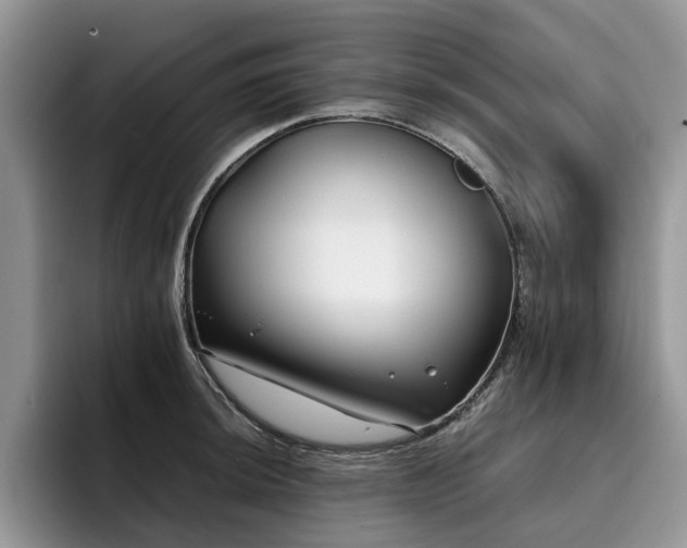 X0000096201044200801181337