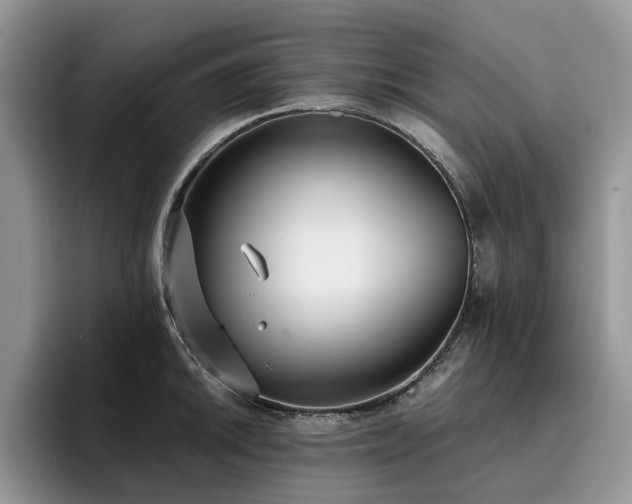 X0000096201046200801181337