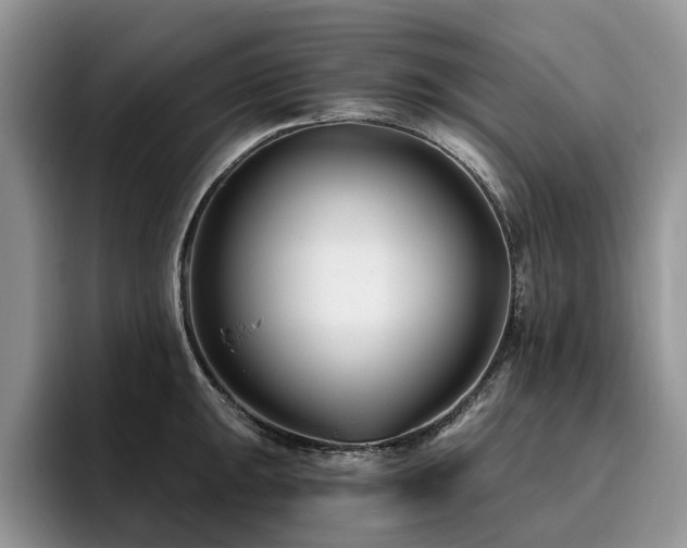 X0000096201047200801181337