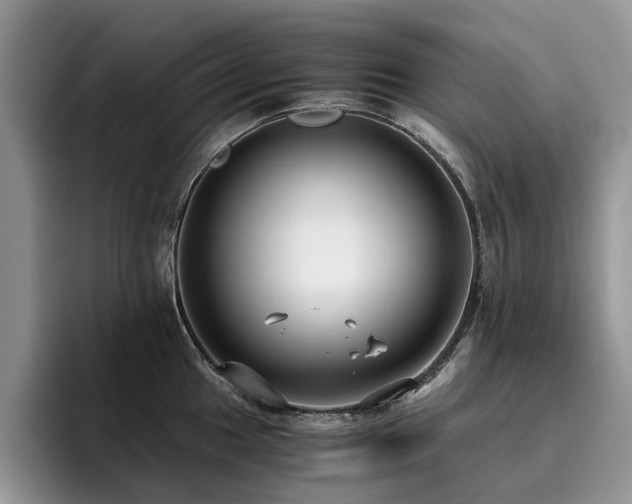 X0000096201049200801181337