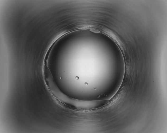 X0000096201050200801181337