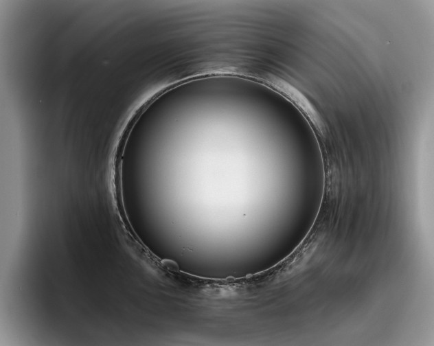 X0000096201051200801181337
