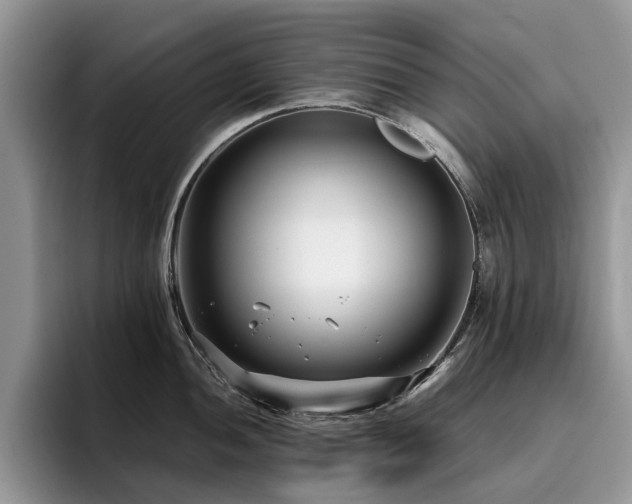 X0000096201052200801181337