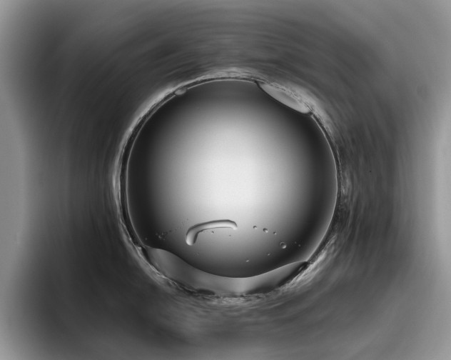 X0000096201054200801181337