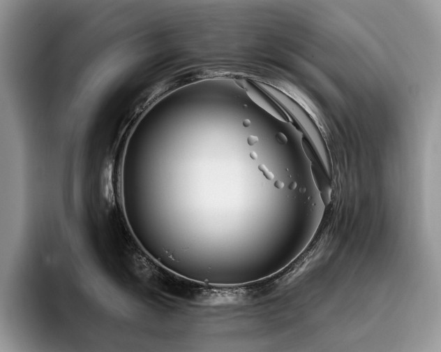 X0000096201055200801181337