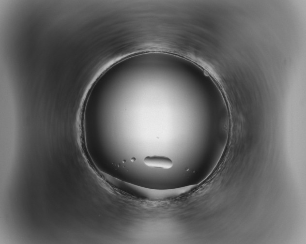 X0000096201056200801181337