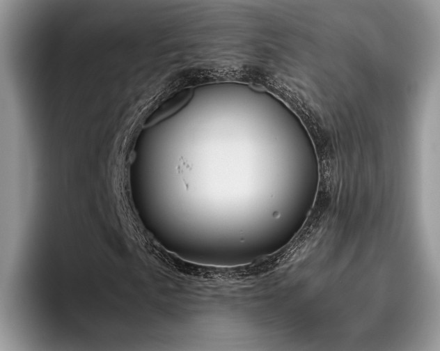 X0000096201057200801181336