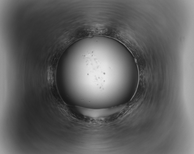 X0000096201058200801181336