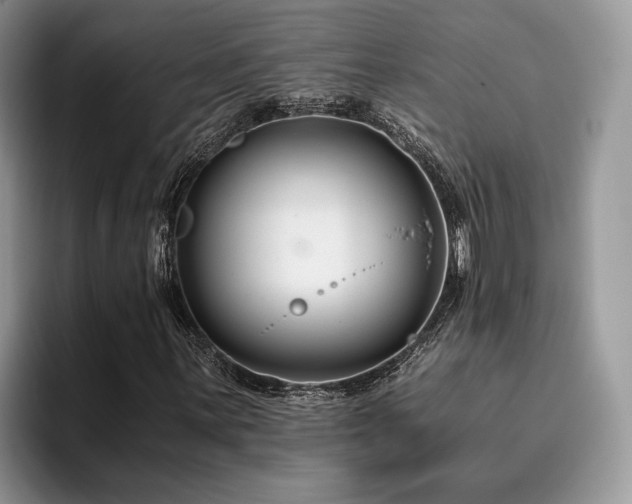X0000096201059200801181336