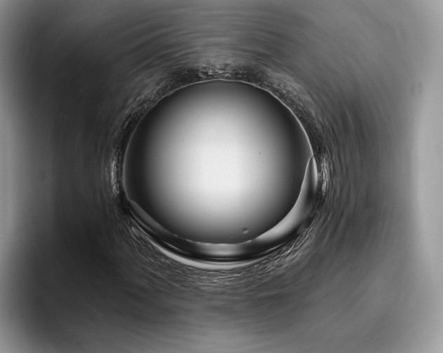 X0000096201060200801181336