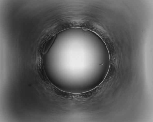 X0000096201061200801181336