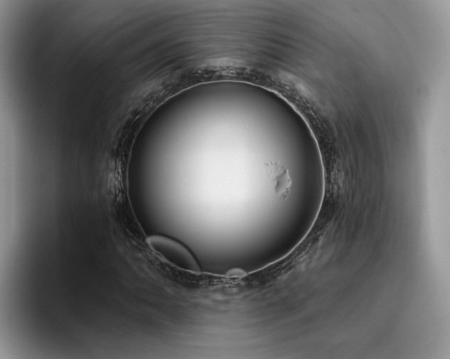 X0000096201062200801181336