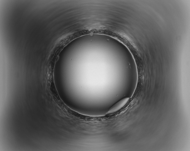 X0000096201063200801181336